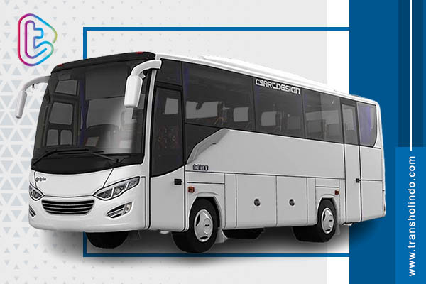 transholindo - rental mobil big bus